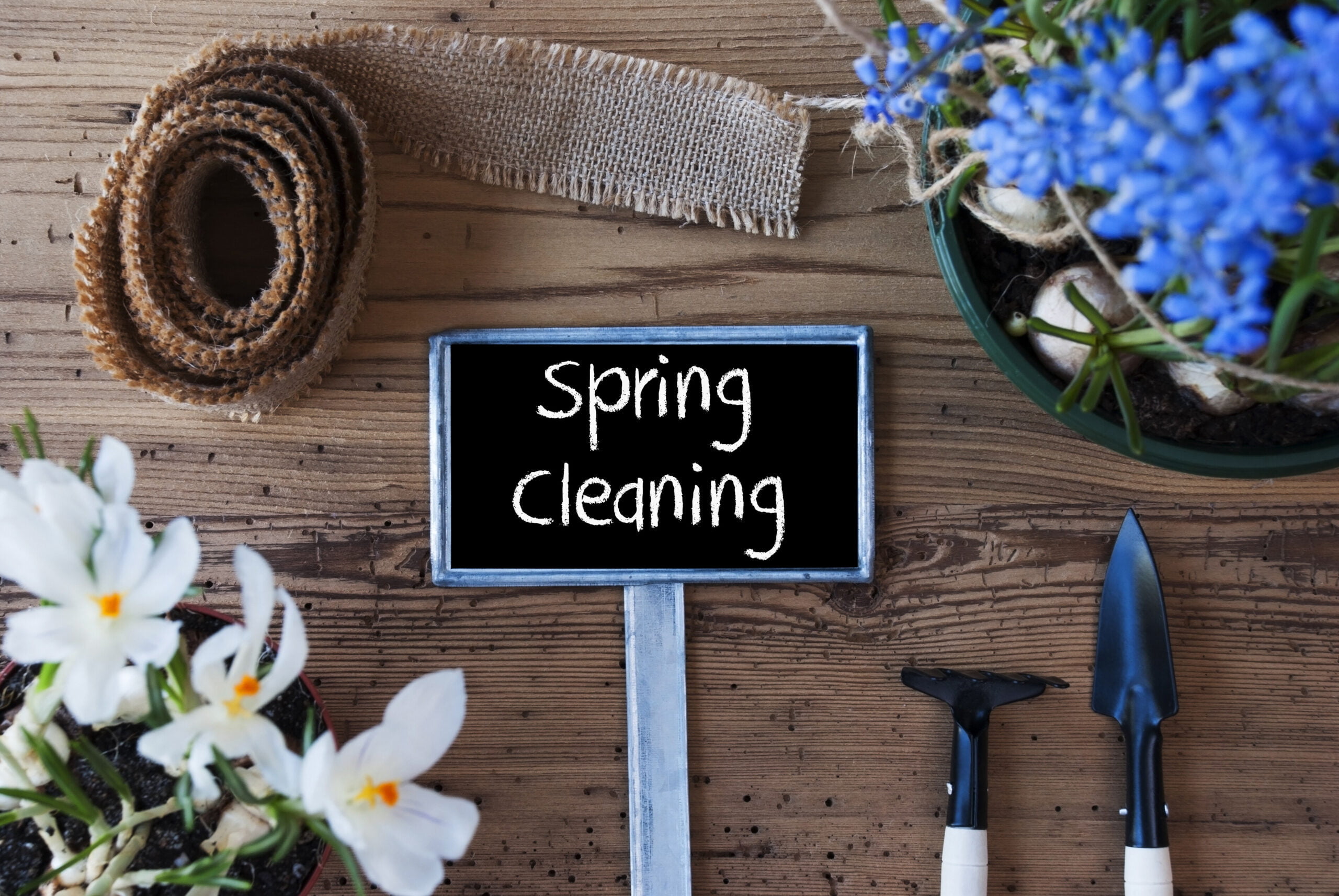 Spring Clean your job search with these simple tips!